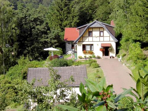 Birkenhain in Stolberg Harz, Deutschland