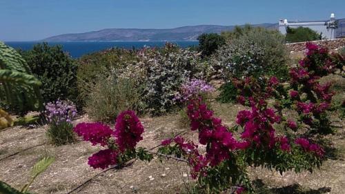  Stella's Home in Koufonisia