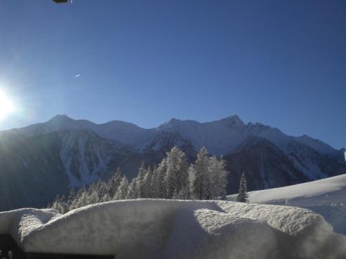 Chalet Niederhaushof