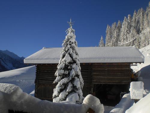 Chalet Niederhaushof