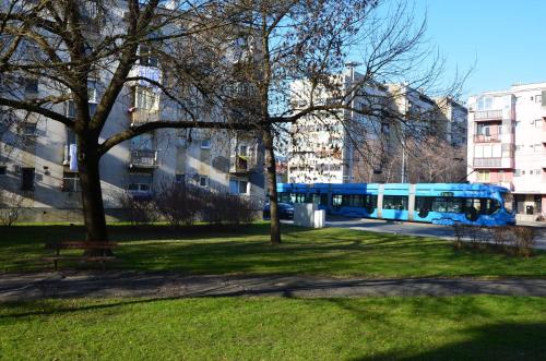 Studio Apartment Maestral - image 2