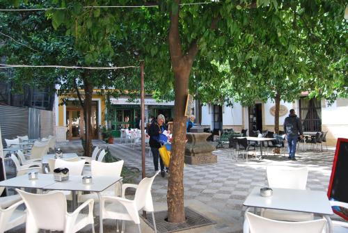 El Rincon de Aurora