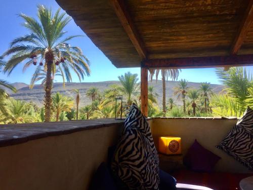 Guesthouse Riad Ecolodge Bab el Oued Maroc Oasis - Agriturismo Marruecos