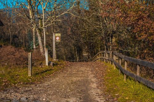  Casa das Oliveiras in Beiral do Lima