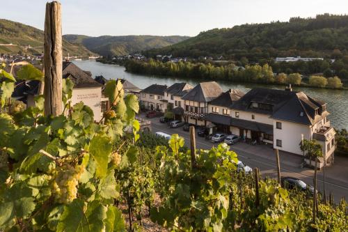 Hotel garni "Café im Hamm" in Zell Mosel, Deutschland
