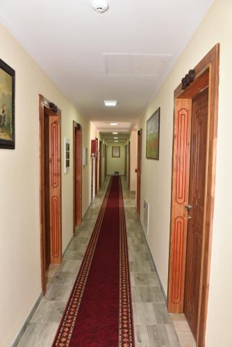 Hotel VIR - image 10