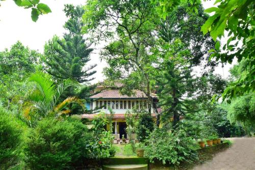 

Pillowrocks Homestay Wayanad