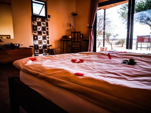 Ovita Wildlife Restcamp in Okahandja