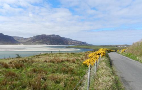 The Lookout Ardara - image 11