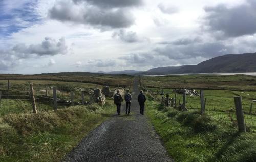 The Lookout Ardara