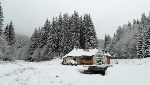 Cabana Pietricica - Chalet - Dîmbovicioara