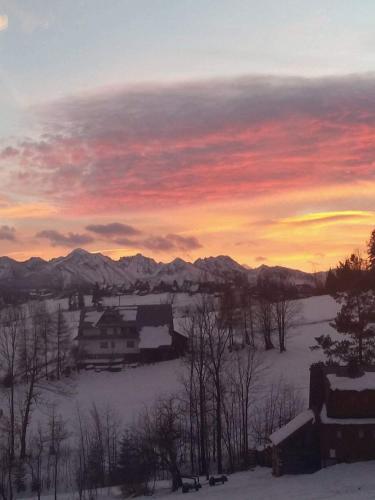 Agrotatry U Stachy Agrotatry U Stachy