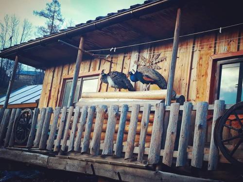 Agrotatry U Stachy Agrotatry U Stachy