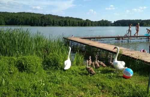 Koci Grzbiet Agroturystyka