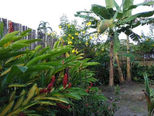 

Sunrise Hostels