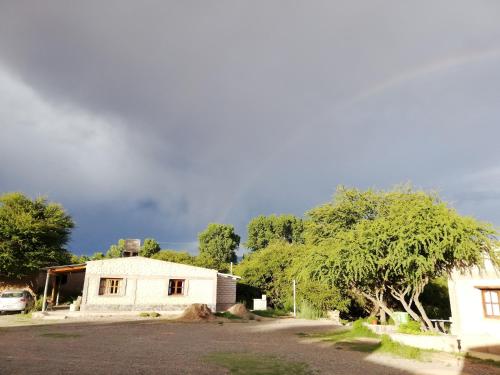 El Churqui in 烏瑪華卡