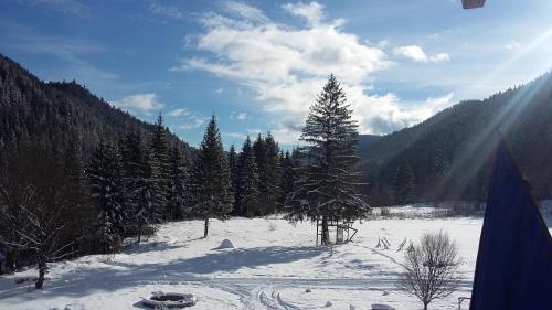 Pensiunea Poiana Soarelui