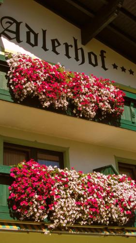 Adlerhof am Sonnenplateau