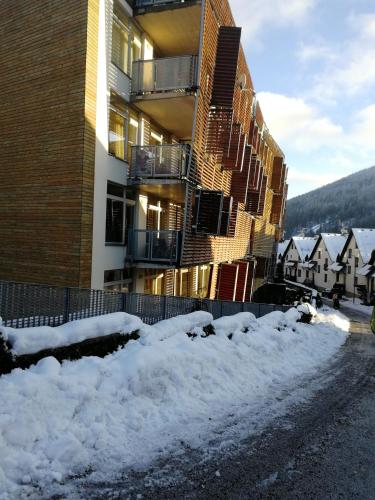 Exterior view, Rodinny Apartman Harrachov 606 in Harrachov