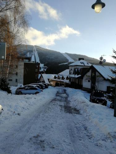 Exterior view, Rodinny Apartman Harrachov 606 in Harrachov