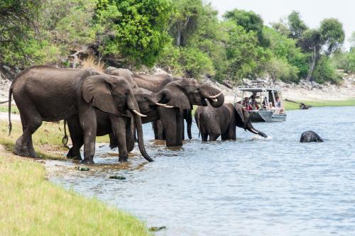 Ichingo Chobe River Lodge by Mantis