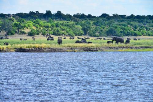 Ichingo Chobe River Lodge by Mantis