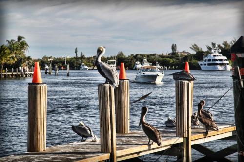 Floranada Condos in Pompano Beach, USA