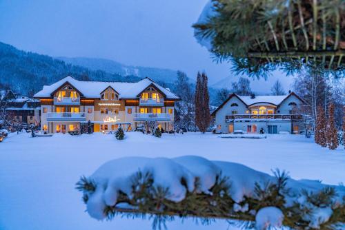  PARKVILLA Vital in Schladming
