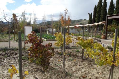 Centro de Agroecologia y Medio Ambiente de Murcia