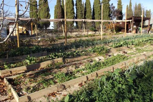 Centro de Agroecologia y Medio Ambiente de Murcia