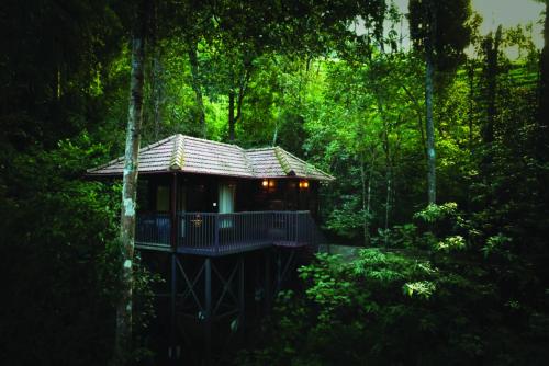 Wild Planet Jungle Resort