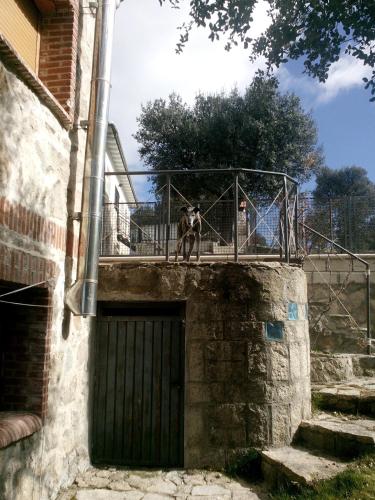 Chalet Rural en Navaluenga Chalet Rural en Navaluenga