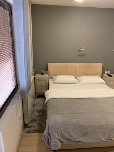 Rooms Sanja in โคเลซิน