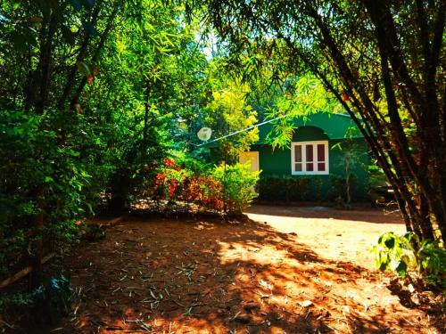 

Silent Hill Farm stay