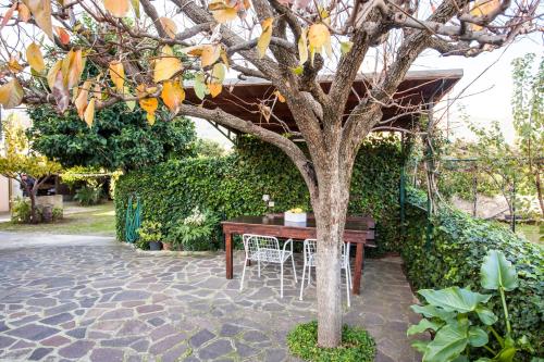 Appartamento l' Edera - image 8