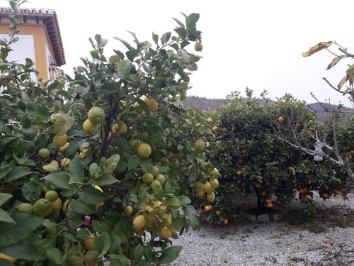 Alojamiento Colina del Sol - image 3