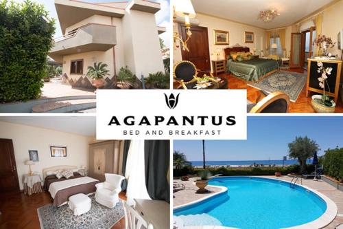 Agapantus Bed & Breakfast Diamante