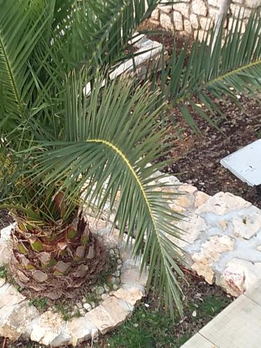  Apartman Klancir Mandre in Mandre