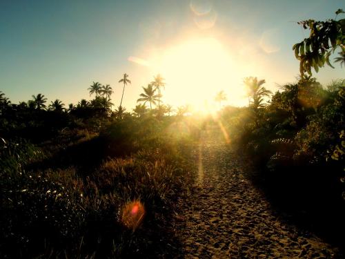 Casa Amarela na praia para 13 pessoas Casa Amarela na praia para 13 pessoas