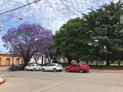 El Jacarandá, relax, en Chascomús