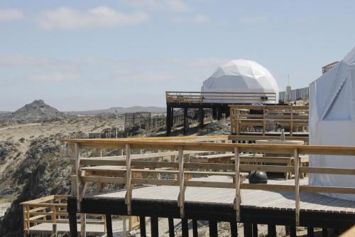 Kunza Kamanchacos in Punta De Choros