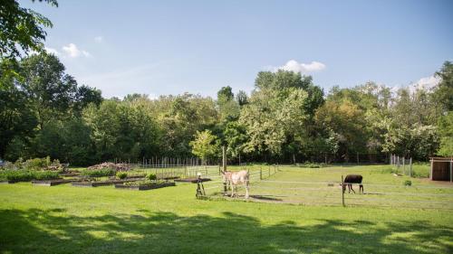 La Collina delle Mignole