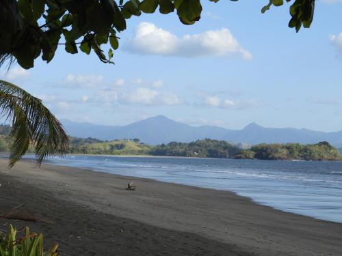 El nido del tucán