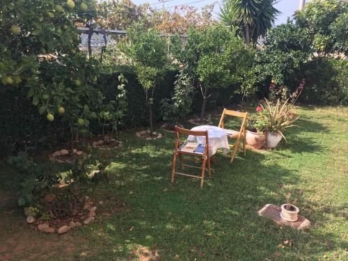 Dimitris Apartments