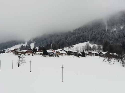 A környék, Allgäu Bergluft (Allgau Bergluft) in Weitnau