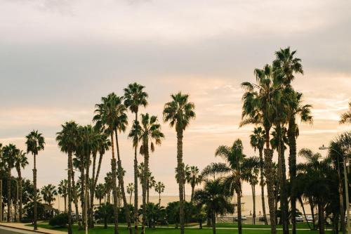 Bayside Hotel, Los Angeles (fotografie 9)