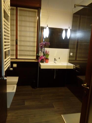 B&B Xenia