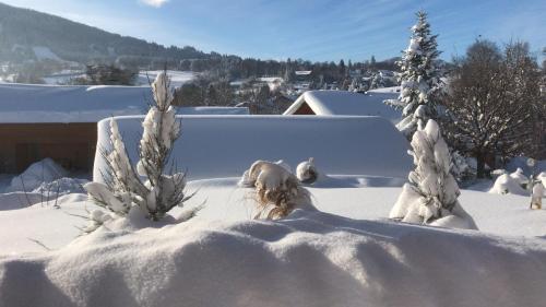 CaLegna Ferienchalet
