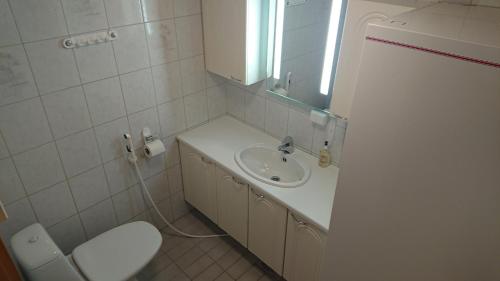 Kieppi Chalet - image 5