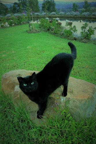 Hotel Hacienda El Pinar del Viento (Villa De Leiva) desde ...
